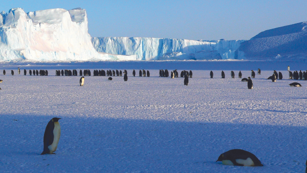 Pilgrimage to Antarctica Information Meeting