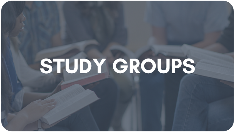 study-groups_9
