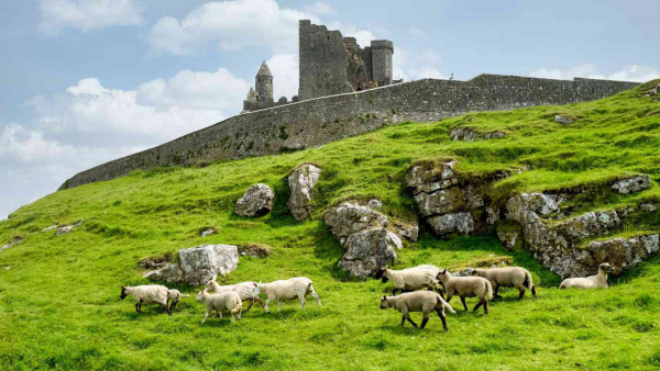 Pilgrimage: Celtic Christianity